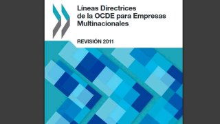 lineas directrices